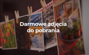 Jak stać się bardziej cennym dla swoich klientów? – Biegun.Studio