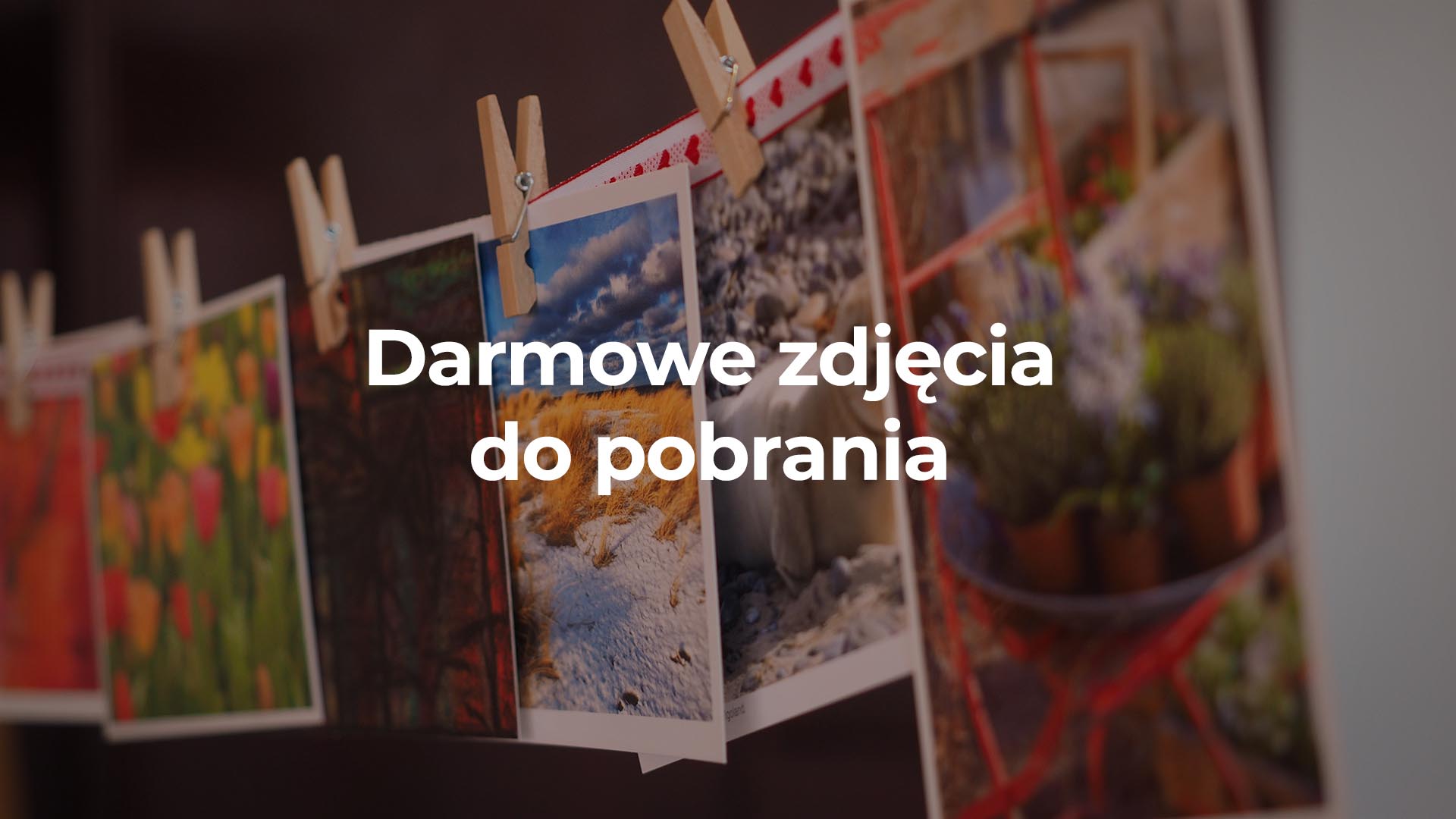 darmowe-zdjecia