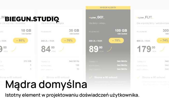 Zasady dostępności stron internetowych – Biegun.Studio