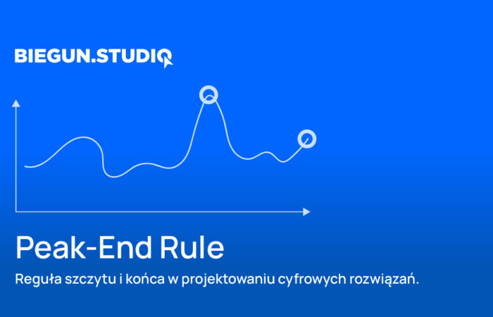 Zasady dostępności stron internetowych – Biegun.Studio