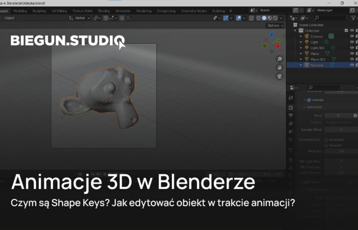 Wizualizacje 3D czy Zdjęcia Produktowe – Które Wybrać? – Biegun.Studio