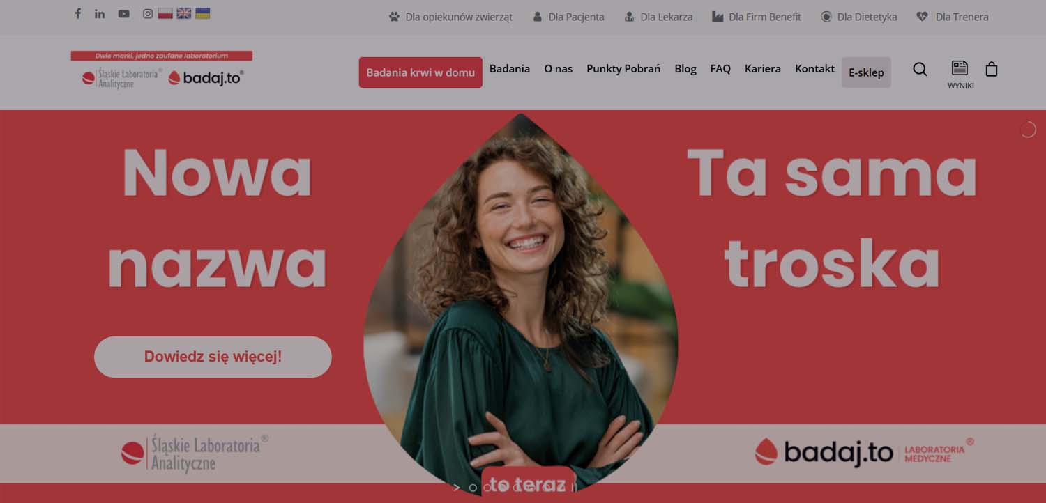 Projektowanie stron internetowych – Biegun.Studio