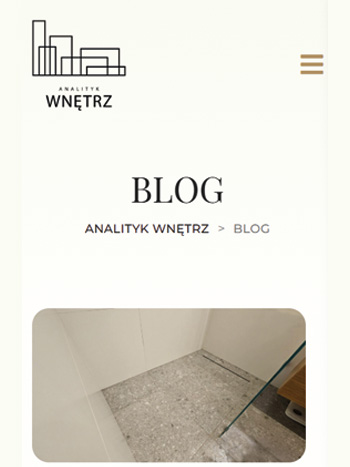 Analityk Wnętrz – Strona Internetowa – Biegun.Studio